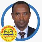 Bekele Shibru Arsedi, PhD